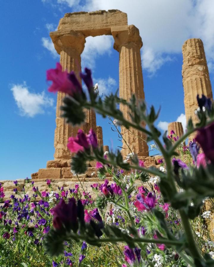 Bed and Breakfast Tesori Di Girgenti Agrigento Exterior foto